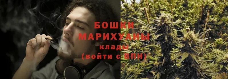 нарко площадка официальный сайт  Дубна  Бошки марихуана OG Kush 